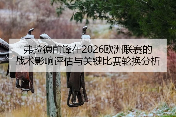 弗拉德前锋在2026欧洲联赛的战术影响评估与关键比赛轮换分析